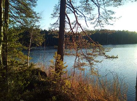 Kukuljärvi
